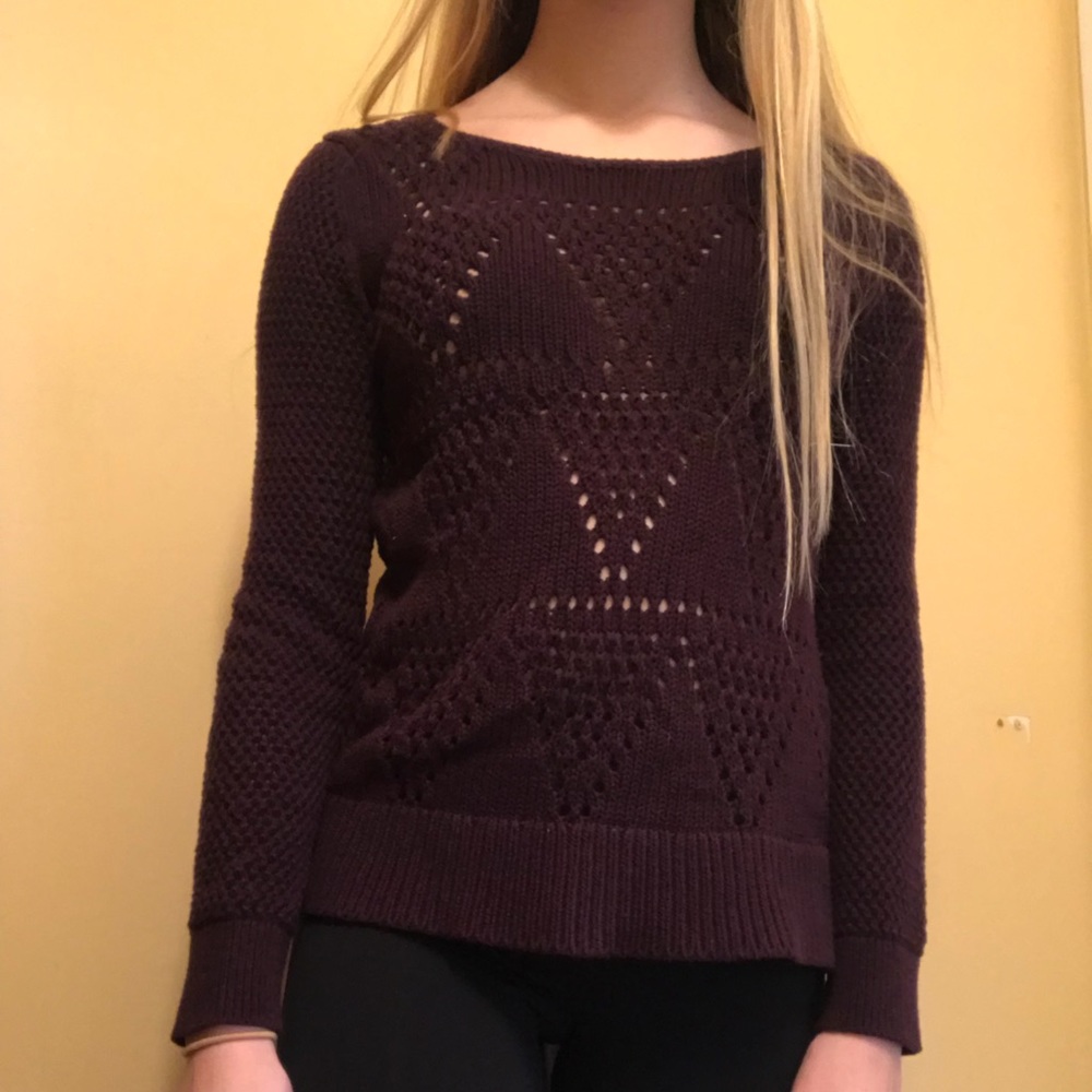 Loft Plum Sweater